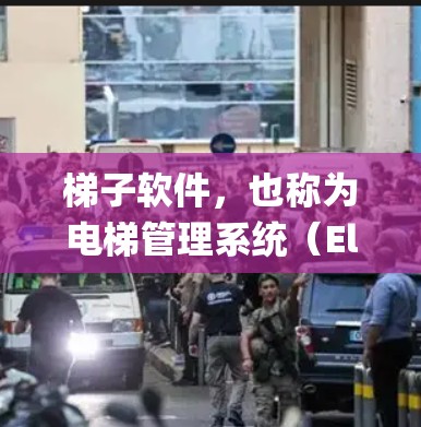 梯子软件，也称为电梯管理系统（Elevator System）或楼梯管理系统（Chestroom System）是一种用于管理电梯、楼梯和相关系统的软件工具。以下是关于梯子软件的详细分步解释