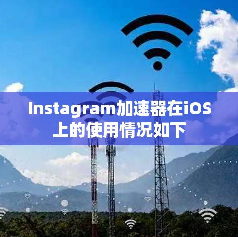 Instagram加速器在iOS上的使用情况如下