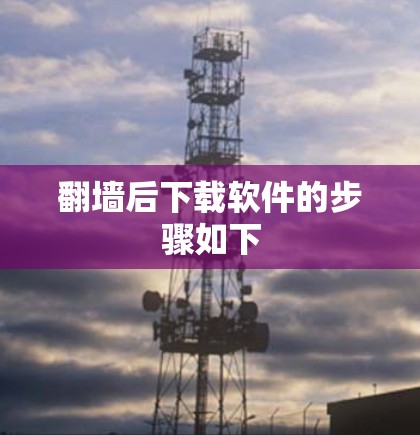 翻墙后下载软件的步骤如下