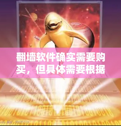 翻墙软件确实需要购买，但具体需要根据你的需求来选择适合的工具。以下是一些常见的翻墙软件类型及其特点