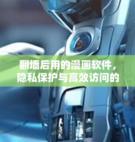 翻墙后用的漫画软件，隐私保护与高效访问的解决方案