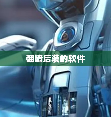 翻墙后装的软件