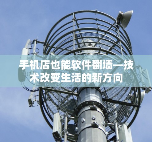 手机店也能软件翻墙—技术改变生活的新方向