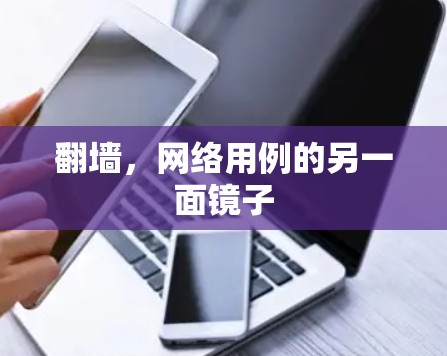 翻墙，网络用例的另一面镜子